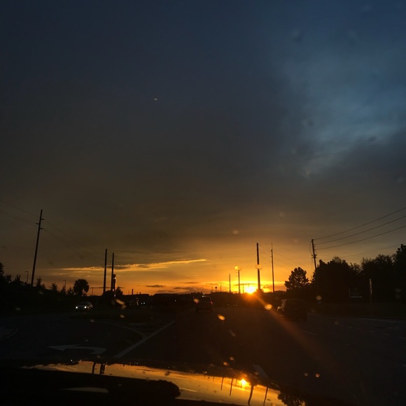 Meet your Posher, Molly - Picture 1 of 1